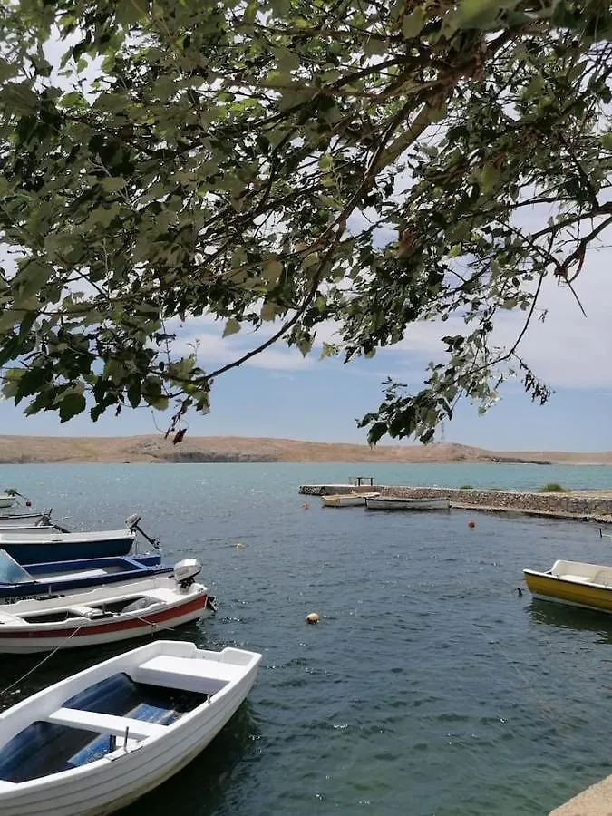 Daire Apartman Lidija Dinjiška Hırvatistan